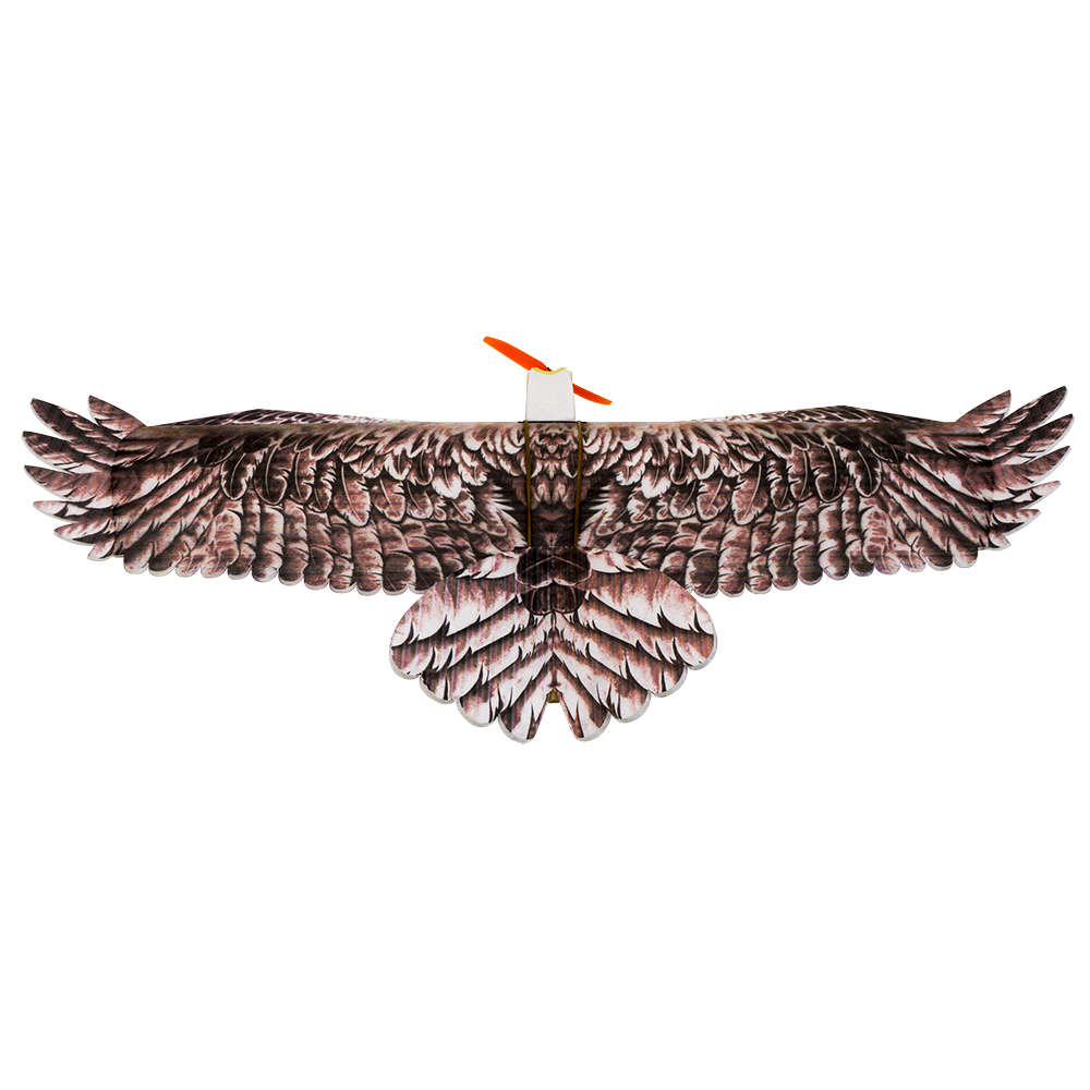 DWホビー イーグルII EPP飛行機 RC飛行機キット フ - Rc Hobby Experts のレビューと価格